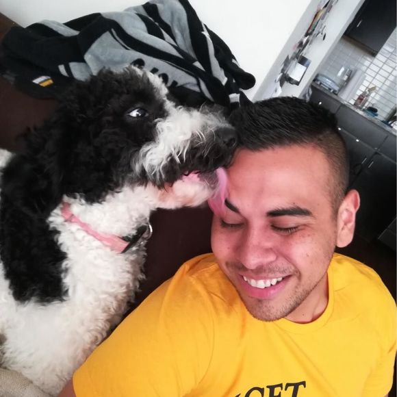 Meet your Posher, Anthony - Picture 1 of 1